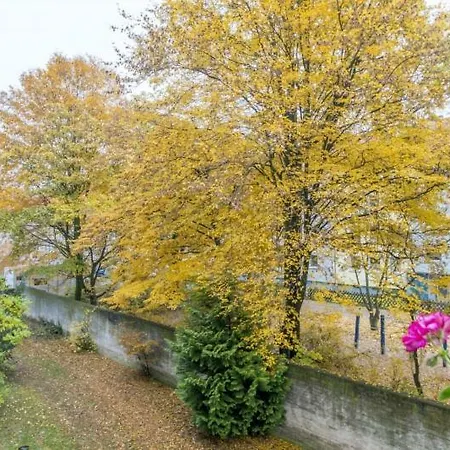 Privatapartment Mitte Messe Und City Apartment *